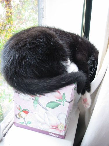 so very wiped out.