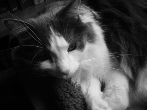 he's very cute when he's tired.