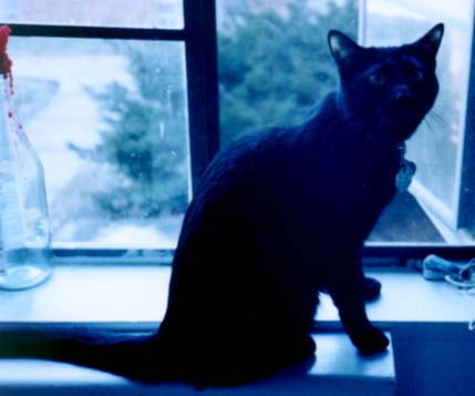 not a good picture, but a favorite anyway.