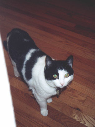 is it dinnertime?