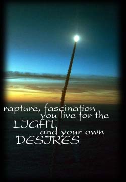 rapture, fascination
you live for the light
and your own desires